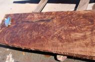 Claro Walnut (California Black Walnut). Freshly milled, not ready for sale. Five feet in length, 25 inches in width, 2.25 inches thick.