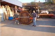 100 year old Redwood Log. Tree lived in Berkeley, California. It was lifting the foundation of an historic church and needed to be removed. The three logs we were able to salvage produced over three thousand board feet of quality lumber.